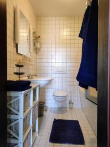 格雷沃斯米伦Chalet Forsthof Everstorf - kleine Wohnung的一间带水槽和卫生间的浴室