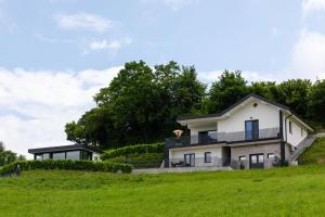 博德森特克Vila Emina的山丘上带绿地的房子