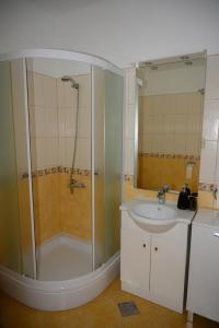 特罗吉尔Villa Vinko的带淋浴和盥洗盆的浴室