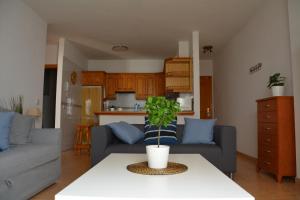 圭马尔港Apartamento Salitre的客厅配有沙发和植物桌子