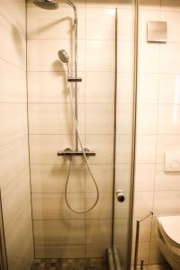 诺维·维诺多尔斯基Apartman Nada的浴室内配有淋浴和头顶淋浴