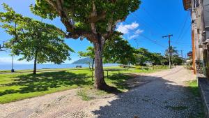 乌巴图巴Hostel Na Praia - Hospedagens e eventos的路旁的树