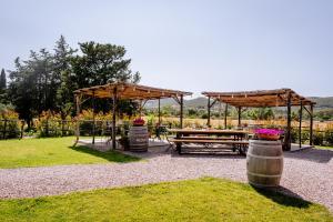 加沃拉诺Agriturismo Giù al Pozzo的野餐区设有野餐桌和遮阳伞