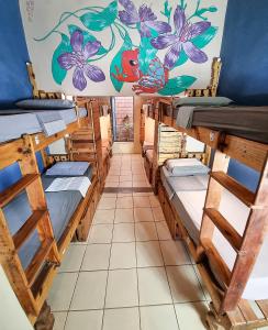 伦索伊斯Chapada Backpackers Hostel Agência的一间设有四张双层床的客房,墙上挂有壁画
