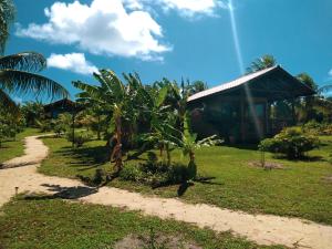 巴拉多库努Villa Angelim - Natureza e Conforto Barra do Cunhaú的一条通往棕榈树房屋的土路