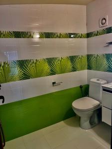 布尔加斯Vista Sul Mare II的绿色和白色的浴室设有卫生间