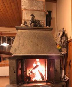 萨翁林纳Holiday Cabin Kerimaa 41的厨房配有火炉