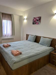马夫罗沃Domini LakeView Apartment的一间卧室配有一张大床和两个枕头