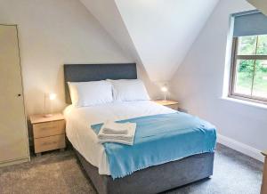 TerryglassOld Court Holiday Homes 3 Bed - Sleeps 6的一间卧室配有一张带蓝色毯子的床