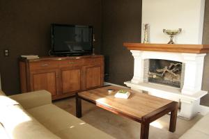 FlobecqN°5 Lumen的客厅设有壁炉和电视。