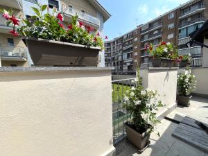 基瓦索Only Time- Luxury Comfort House的建筑里种植了盆栽植物的阳台