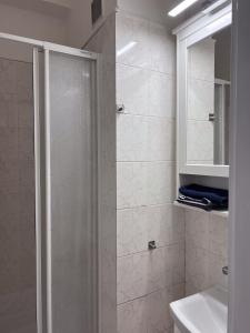 布拉迪斯拉发艾韦恩酒店的带淋浴和盥洗盆的浴室
