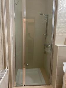 豪伊杜索博斯洛Adam Apartman的浴室里设有玻璃门淋浴
