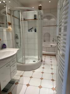 杜塞尔多夫Luxury Apartment near City Media Harbour的带淋浴、盥洗盆和浴缸的浴室