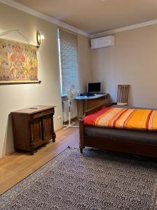 杜塞尔多夫Luxury Apartment near City Media Harbour的一间卧室配有一张床和一张带风扇的书桌