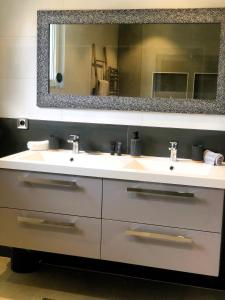 奥斯特瓦尔德Aux Couleurs d'Alsace的一间带两个盥洗盆和大镜子的浴室