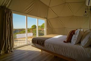 圣地亚哥-杜卡森Reserva Alecrim EcoSuite & Glamping的一间卧室设有一张床和一个大窗户