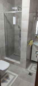 PecineagaZander House的带淋浴、卫生间和盥洗盆的浴室