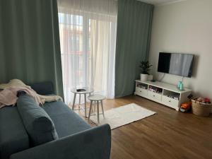 塔尔图Apartment Kvartsi的带沙发和平面电视的客厅