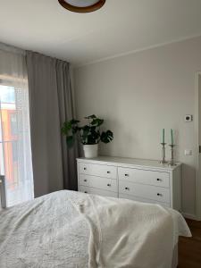塔尔图Apartment Kvartsi的一间卧室配有一张床和一个植物梳妆台