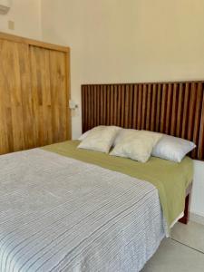 埃斯孔迪多港Residencia en el centro de Puerto Escondido的一间卧室设有两张床和木制床头板