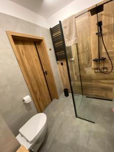 下乌斯奇基Apartament Mech & Paprocie的一间带卫生间和淋浴的浴室