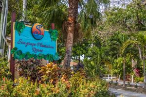 西区西加拉普种植园度假潜水中心酒店的棕榈树游泳天堂公园的标志