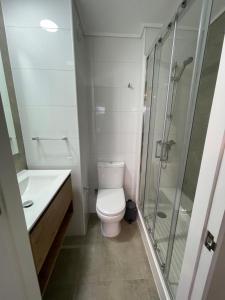 瓦尔迪维亚Epicentro Suites Apart Hotel - Valdivia的一间带卫生间和玻璃淋浴间的浴室