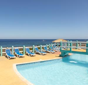 西区西加拉普种植园度假潜水中心酒店的海滩上一排椅子和一个游泳池
