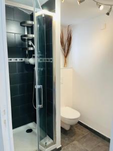 阿洛Au charme provençal的浴室设有玻璃淋浴间和卫生间