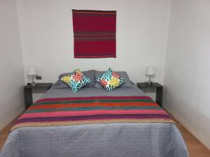 圣佩德罗·德·阿塔卡马Casa Sutar Las Higueras的一间卧室配有一张带两个枕头的床