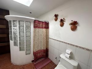 危地马拉安地瓜Casa Los Habitantes Antigua Guatemala的浴室设有卫生间和植物淋浴。
