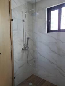 圣多明各Acogedor Apartamento - Regatta Living 2的浴室里设有玻璃门淋浴