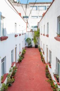 墨西哥城Casa Lumo in Roma Norte by Tasman的两座种植盆栽植物的建筑之间的小巷