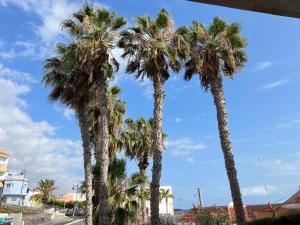 阿尔卡拉ALCAMAR Apartamento cerca al Mar的街上的一群棕榈树