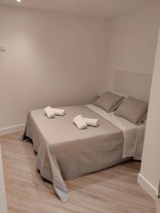 维拉加尔西亚·德·阿劳萨Apartamento Mar de la Concha的一间卧室配有一张带两个枕头的床