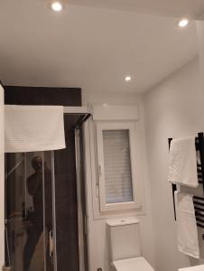 维拉加尔西亚·德·阿劳萨Apartamento Mar de la Concha的带淋浴和卫生间的浴室以及窗户。