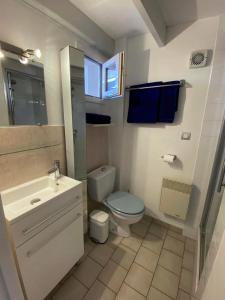 ChaucreCharming house close to the Plage des Huttes的白色的浴室设有卫生间和水槽。