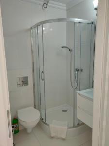 库瑞尼卡慕斯卡弗雷德里克别墅的带淋浴和卫生间的白色浴室