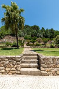 Quinta do Calvário的棕榈树和石墙的石阶