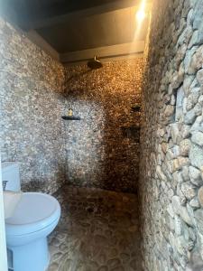 San Mateo Río HondoCasa Chuparrosas的一间带卫生间和石墙的浴室