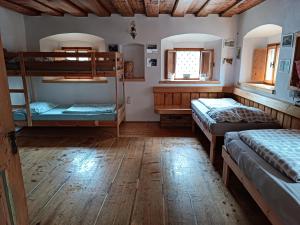布莱德Pr Močnk的铺有木地板的客房内配有两张双层床。