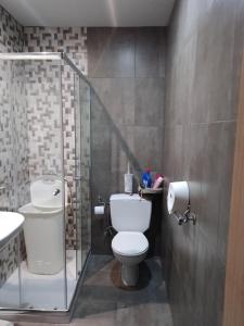 普埃尔托德尔松Casa vacacional的一间带卫生间和玻璃淋浴间的浴室