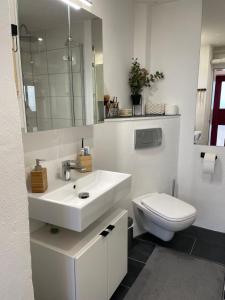 凯尔克海姆Schnuckliges Hinterhaus / Cottage的浴室配有白色水槽和卫生间。