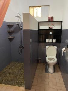 努库希瓦CHEZ ANIAKI的一间带卫生间和淋浴的浴室