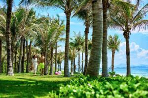 三亚三亚海棠湾仁恒皇冠假日度假酒店（网红无边际泳池）的两对夫妇在海滩上穿过棕榈树