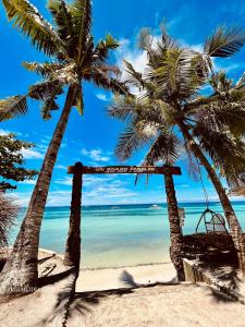 大奥On Board Panglao Beach Hostel & Resort的棕榈树海滩上的秋千