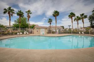 拉斯维加斯Las Vegas Vacation Rental with Pool Access的一个种有棕榈树的大型蓝色游泳池