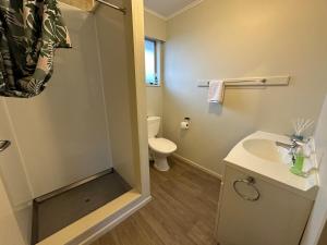 北帕默斯顿Inner Gem On Ada的浴室配有卫生间、盥洗盆和淋浴。
