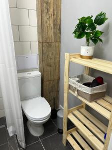 阿拉木图Стильная студия Shadow Атакент的一间带卫生间的浴室和架子上的植物